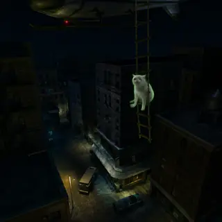 The cat dangling from a helicopter rope ladder